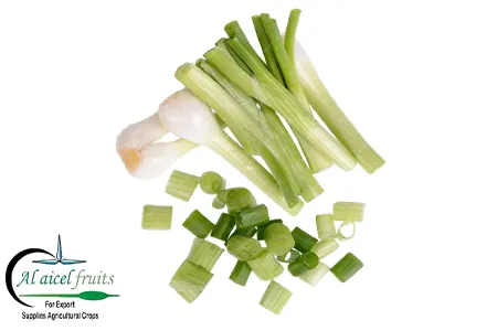 spring onion